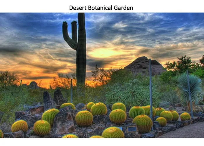Renovated Private In The Heart Of Old Town Scottsdale, Pool & Hot Tub, Outdoor Bar & Kitchen, Walk To Shops & Bars *